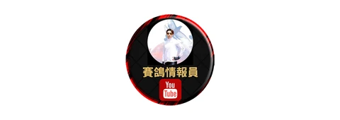 賽鴿情報員 Logo｜HostSWP 網站代管成功案例